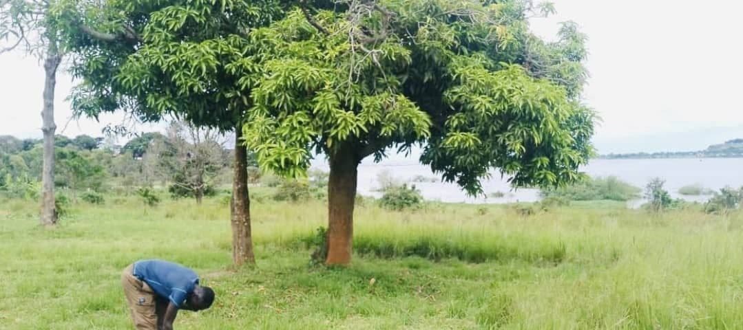 Plot Located in Kampala
