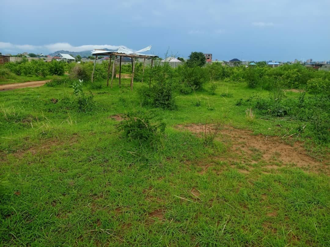 Land Ownership in South Sudan: What Buyers, Developers & Investors Must Know